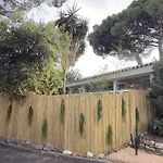 Stone & Bamboo