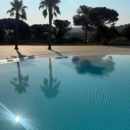 Stone & Bamboo *